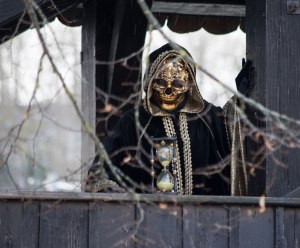 Hallia-Venezia_2015-02-08_0191_1